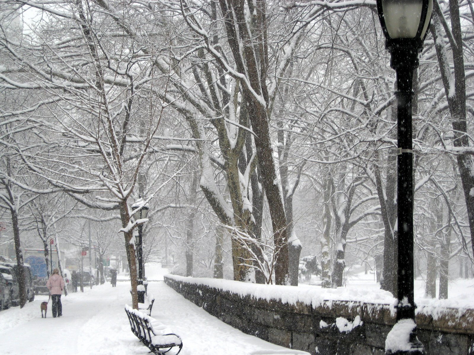 [winter_riverside_drive.jpg]