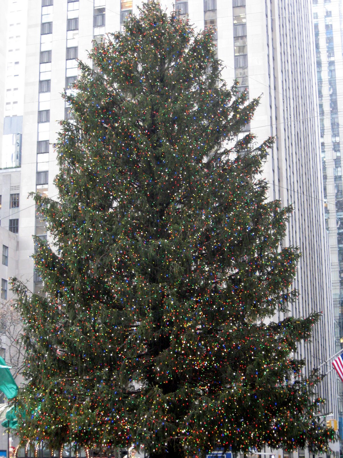 [rockefeller_christmas_tree_2.jpg]