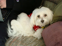 Riley