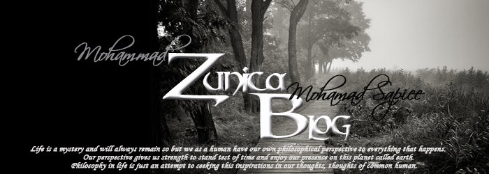 My Zunica Blog