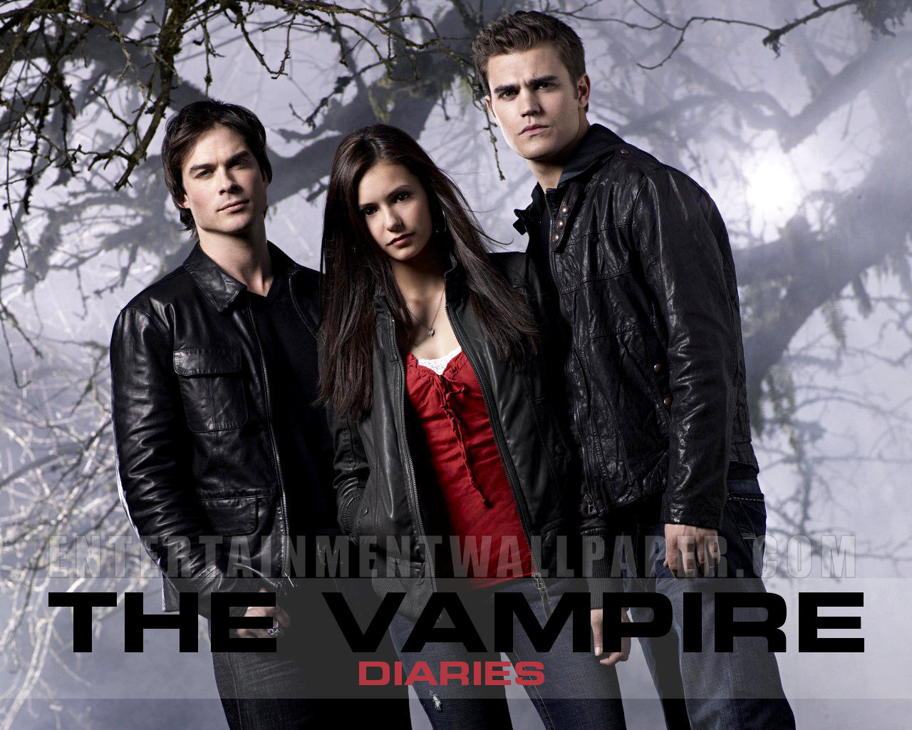 The Vampire Diaries Season 1 Episode 13 The Vampire Diaries: The Vampire Diaries