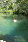 Fossil Creek