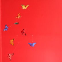 [nie+butterflies.jpg]