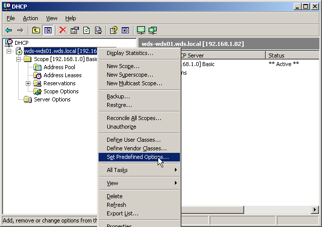 [dhcp-set-options.png]