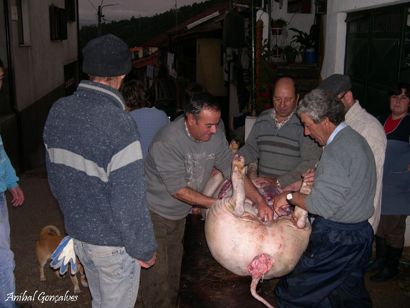 [VilaFlor924.jpg]