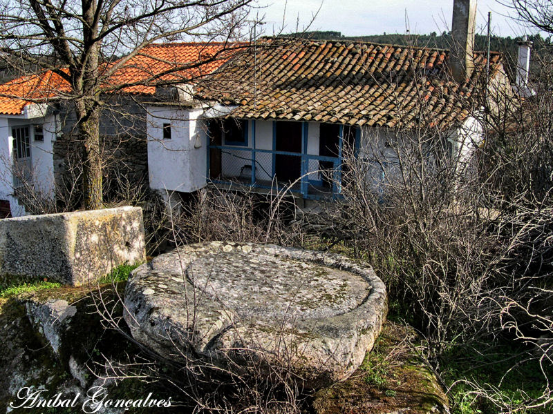 [VilaFlor194.jpg]