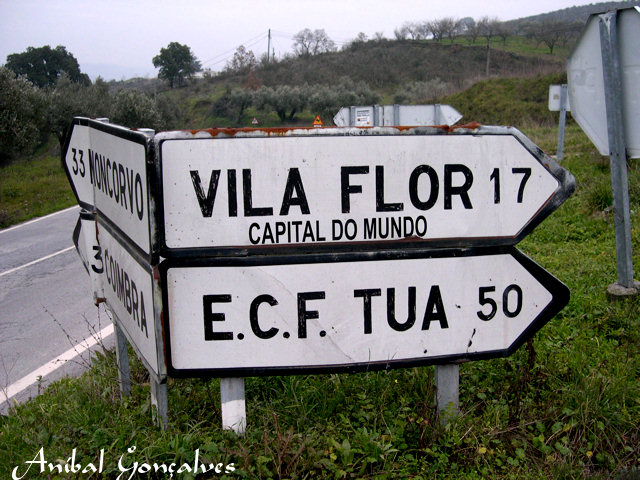 [VilaFlor257.jpg]