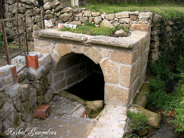 [VilaFlor335.jpg]