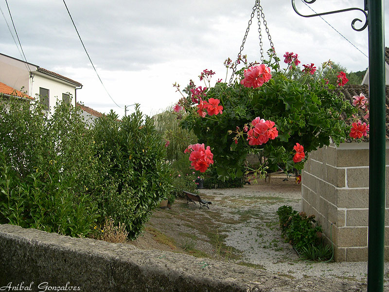 [VilaFlor774.jpg]