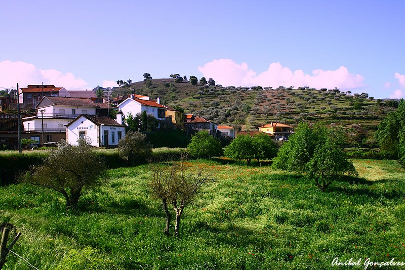 [VilaFlor1103.jpg]