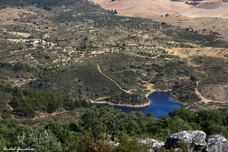 [VilaFlor1245.jpg]