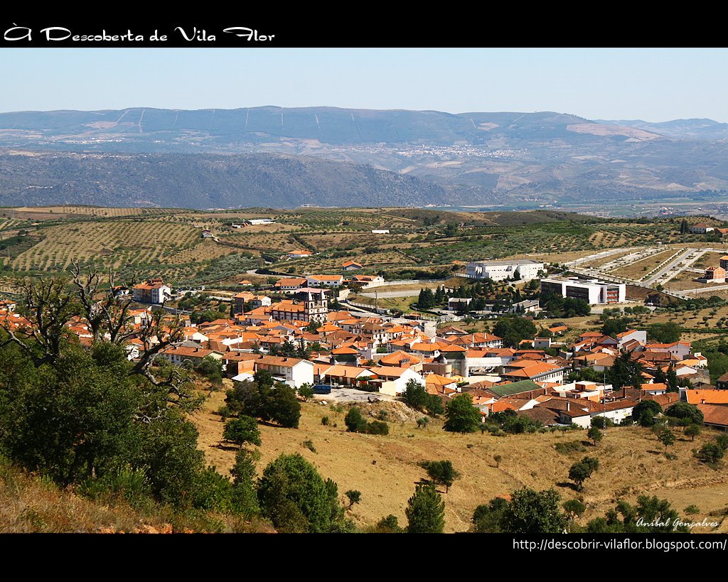 [VilaFlor1554.jpg]