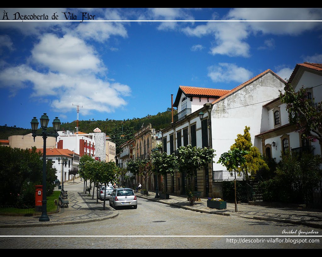 [VilaFlor1566.jpg]