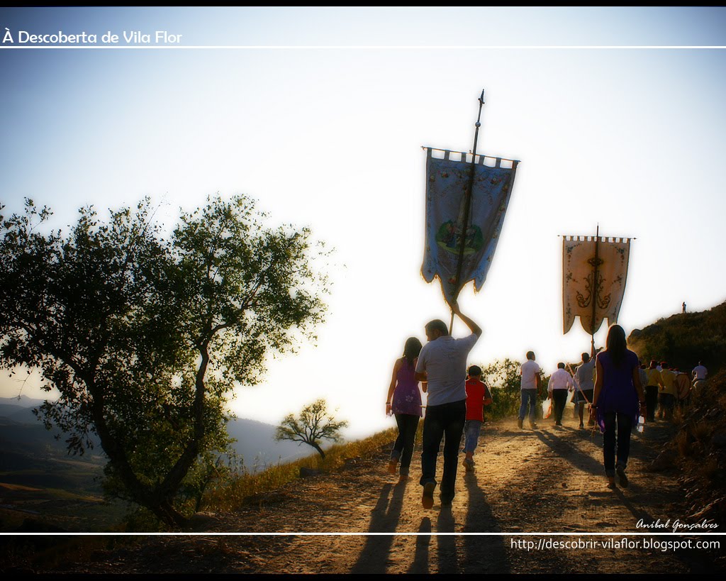 [VilaFlor1614.jpg]