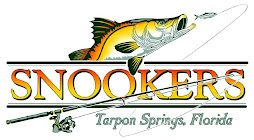 Best Restaurant in Tampa Bay