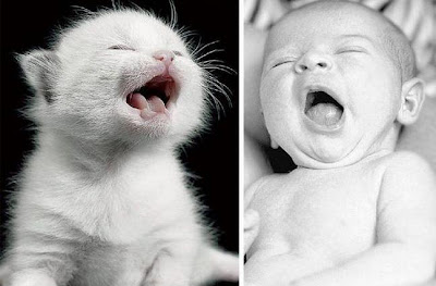 Cute+Combination+01.jpg