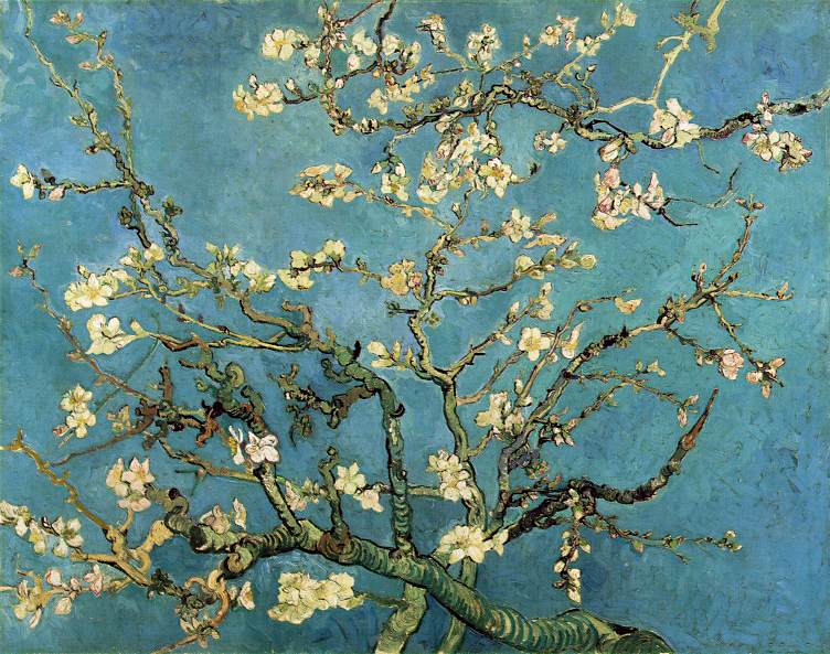 [almond_blossom.jpg]