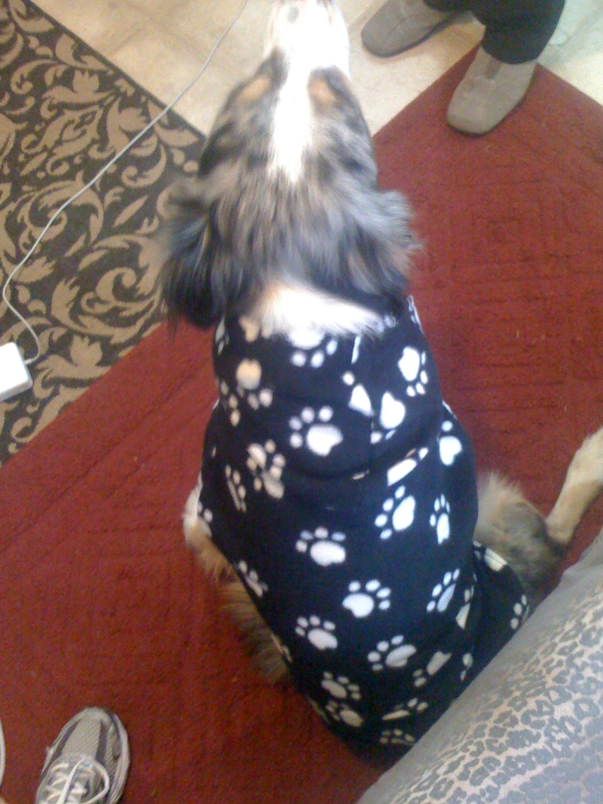 'Cause I'm Fabulous....: My first sewing project: Mccall's Pattern ...