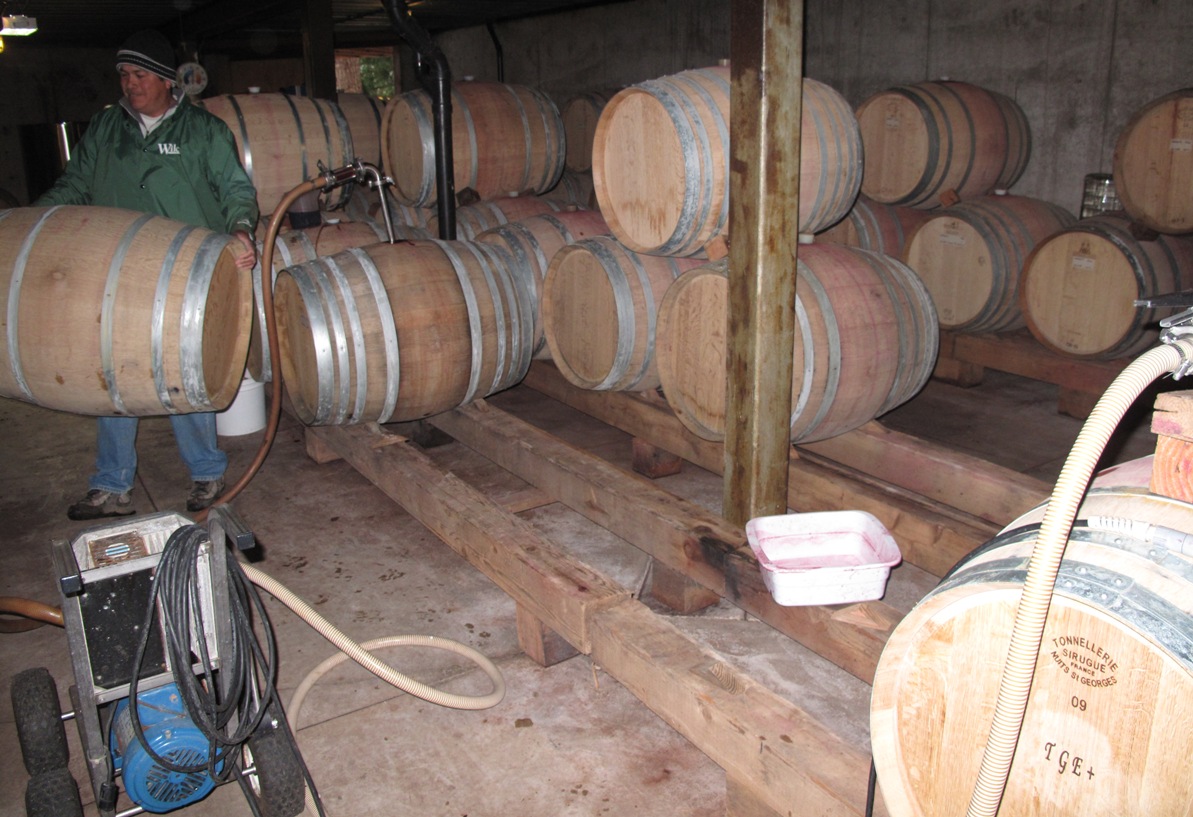 Airlie's Winemaker Racking Barrels