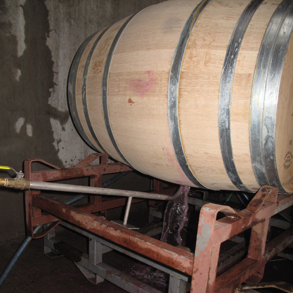 Airlie's Winemaker Racking Barrels