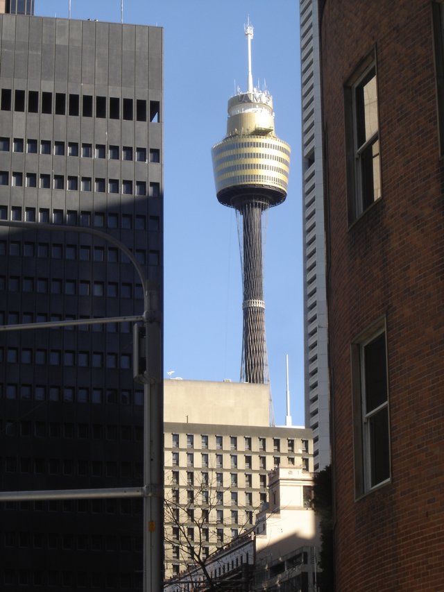 Sydney Tower la plus haute construction de Sydney - Vue panoramique