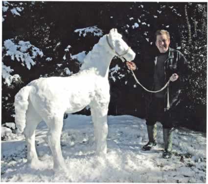 [snow+horse+1.jpg]