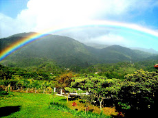 Boquete Valley