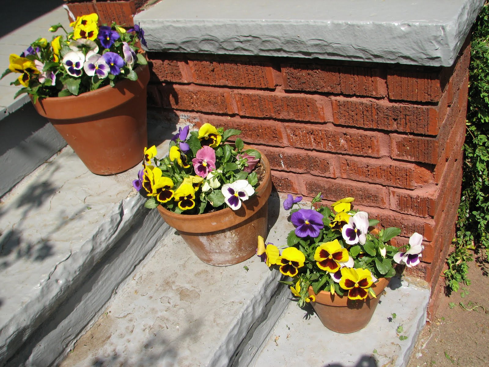 Woman of the House House Tour Flowers Woman of the House House Tour Flowers