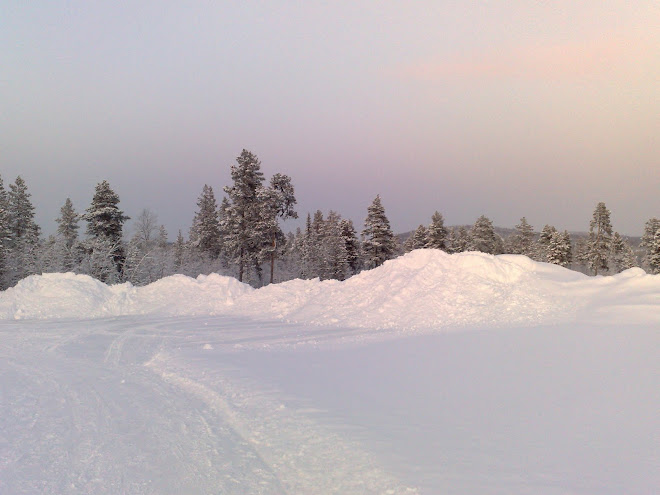 kiruna Landscape