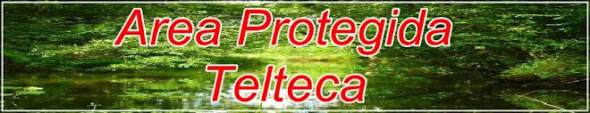 area protegia telteca