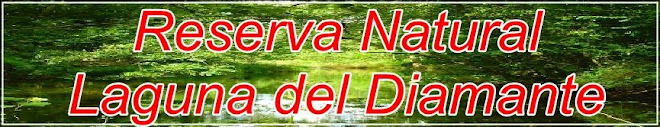 Reserva Natural Laguna del Diamante