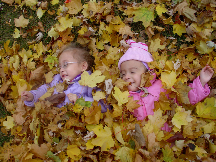 [2007.11.18Leaves3.jpg]