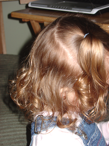[2007.02.24HollandHair.jpg]