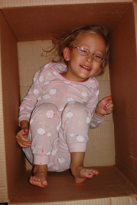 [2008.08.19HollandBox.jpg]