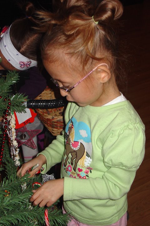 [2008.12.04HollyTree.jpg]