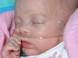 [2004.11.09EdenCloseupSleeping.jpg]