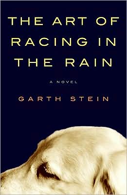 [the+art+of+racing+in+the+rain.JPG]