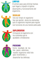 Desintoxicar - Complementar - Equilibrar = PREVENCION