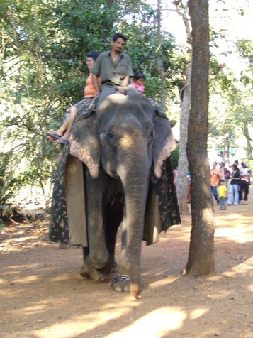 Goa Wildlife: Sanctuaries in Goa, Bondla, Mollem, Bhagwan Mahavir ...