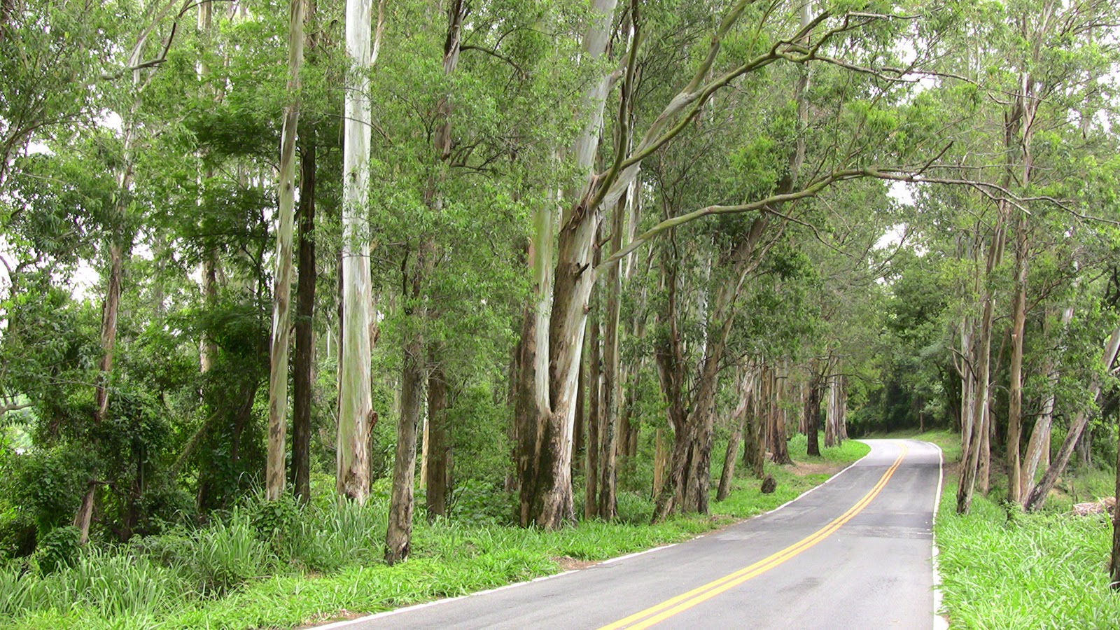 Trips de Bike SP  Itu  Jundiaí  Via Estrada dos Romeiros e SP300