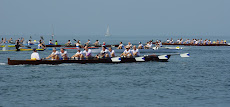 BAVISELA 2010