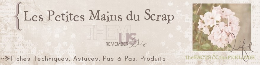 null Les Petites Mains du Scrap