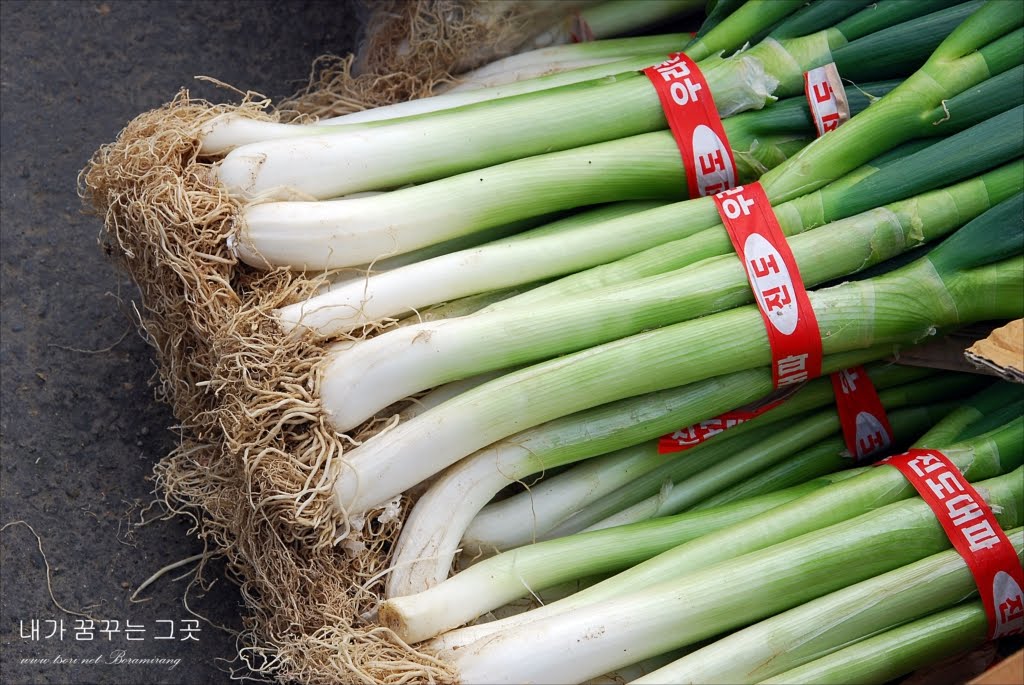 Recipe Beef Turnip Soup Korean Style