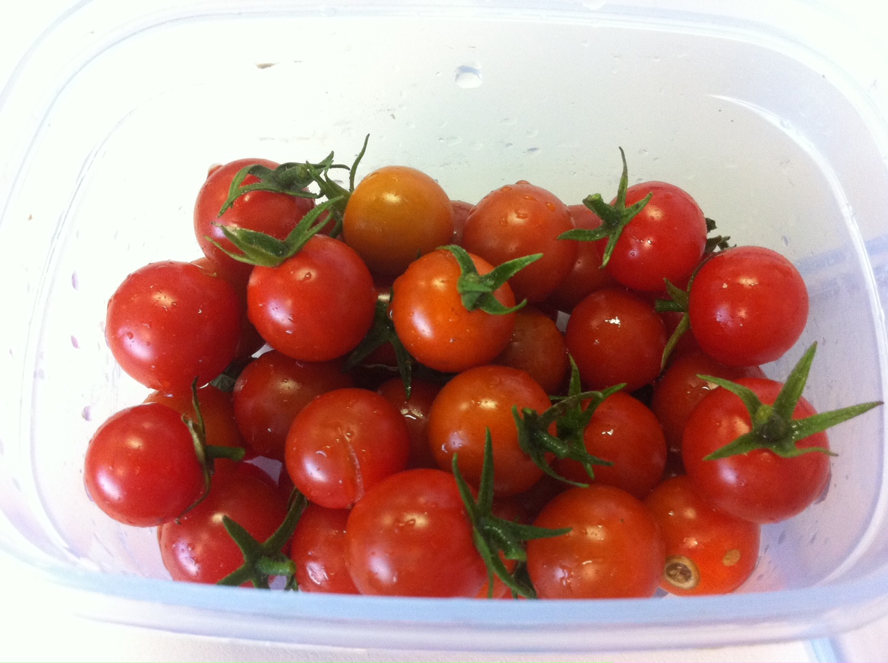 At Home with Kristy Freshly picked cherry tomatoes