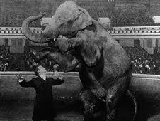 Houdini and Jennie, the elephant, performing at the Hippodrome, New York