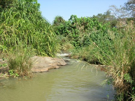 [Web+-+river+view.jpg]