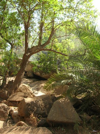 [Web+-+pretty+scene.jpg]