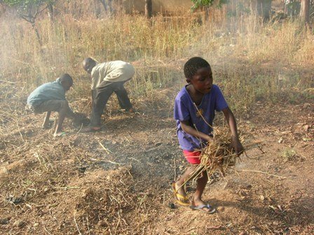 [Web+-+Clearing+the+back+yard+02.jpg]