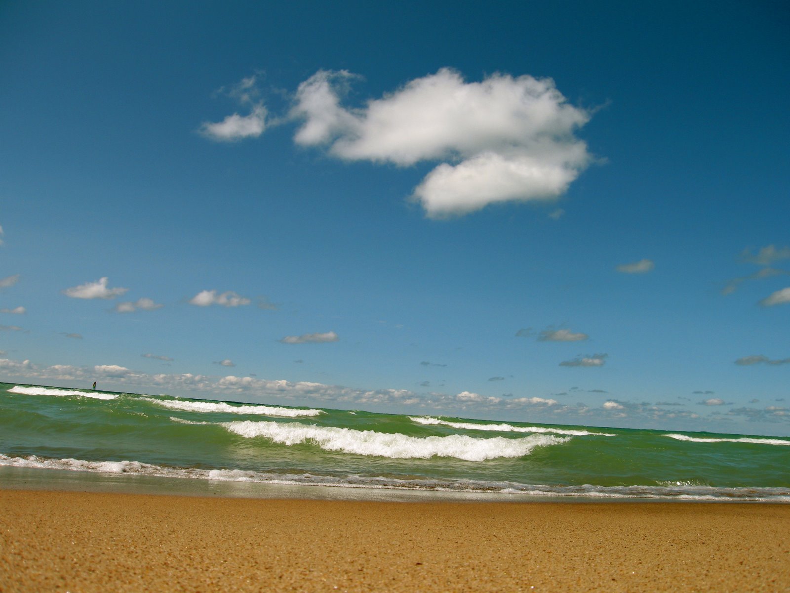 [IMG_6479.JPG]