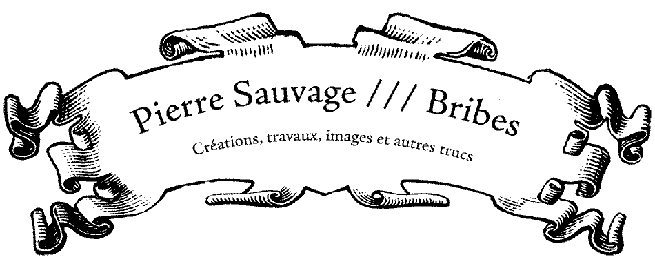 Pierre Sauvage //// Bribes